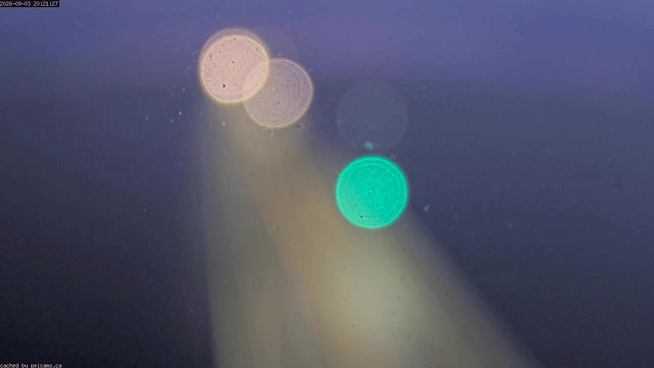 Web Cam image of Confederation Bridge