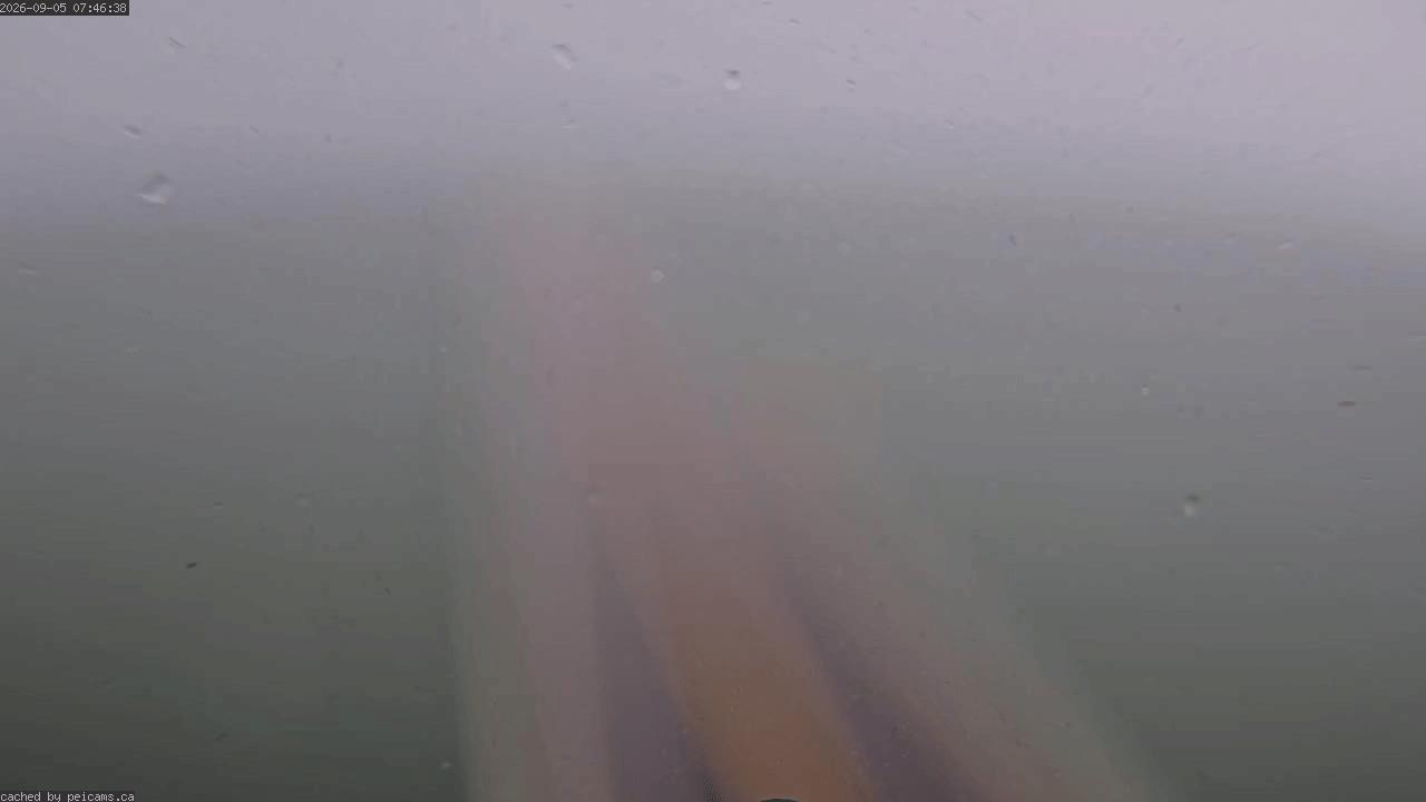 Web Cam image of Confederation Bridge