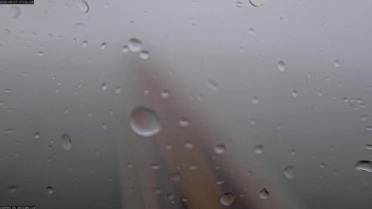 Web Cam image of Confederation Bridge