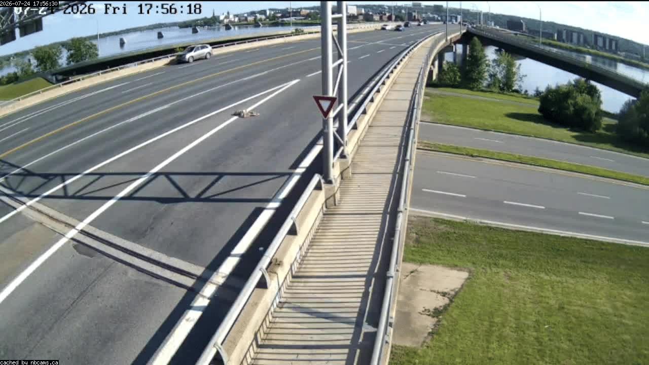 Web Cam image of Fredericton (Westmorland Street - North Side)