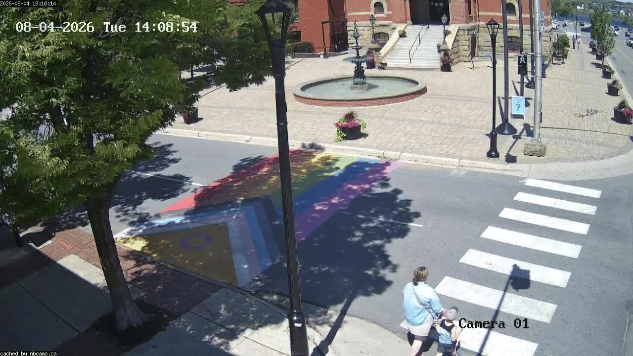 Web Cam image of Fredericton (City Hall)
