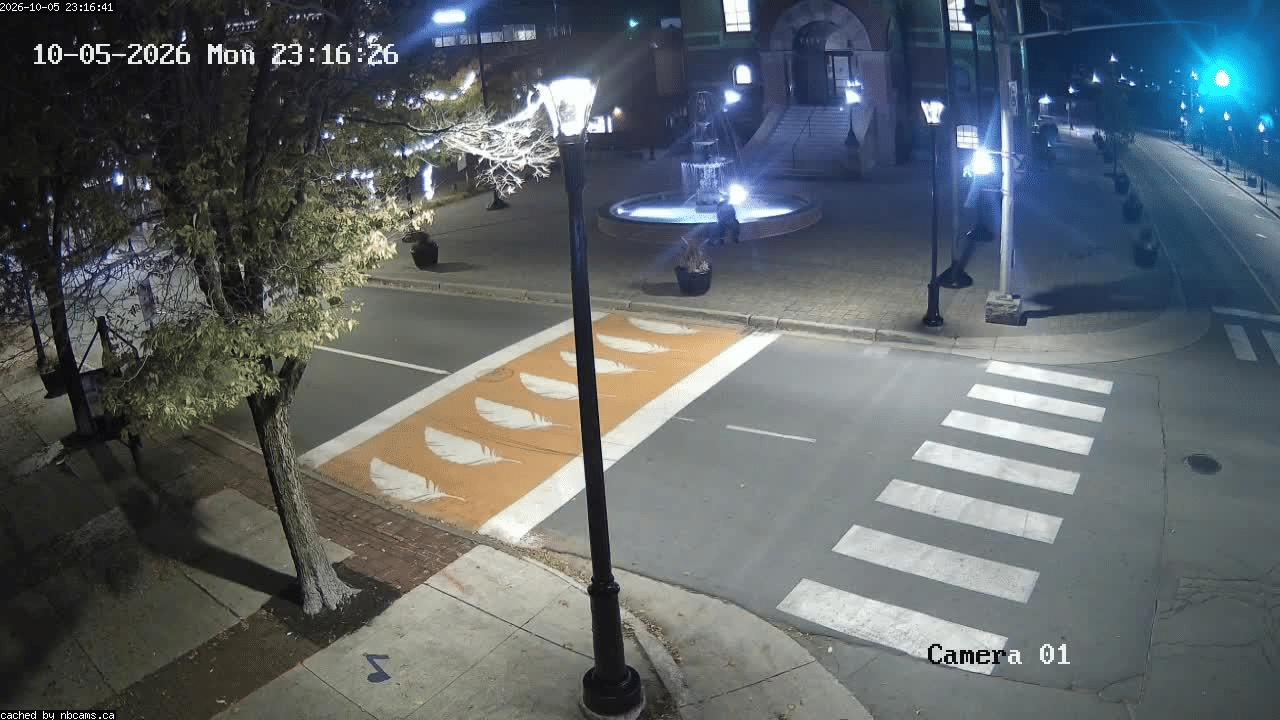 Web Cam image of Fredericton (City Hall)