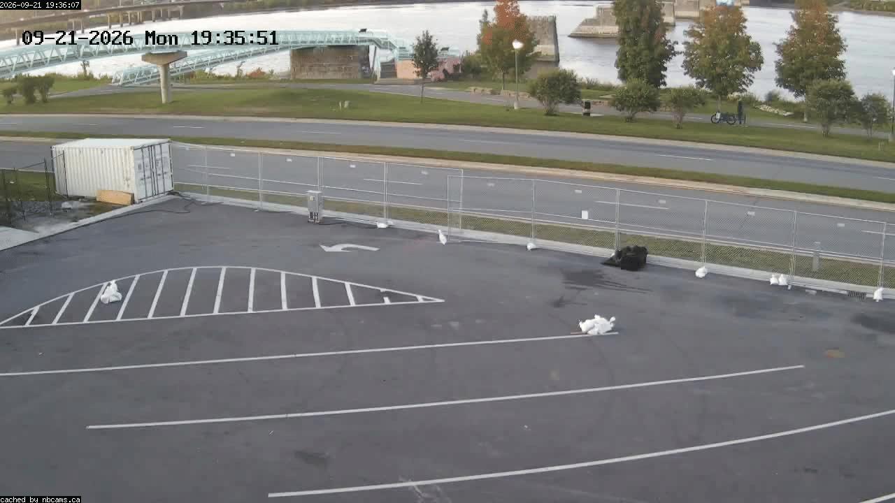 Web Cam image of Fredericton (Officers' Square)