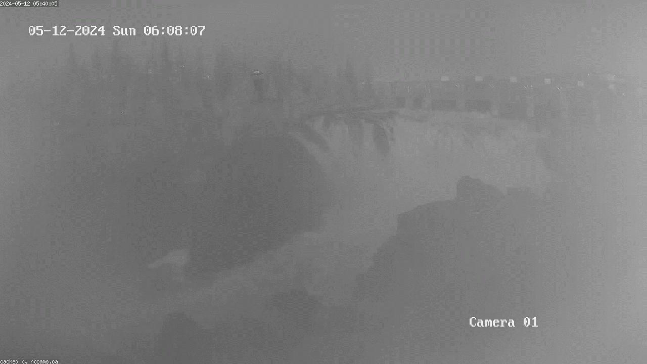 Web Cam image of Grand Falls Gorge