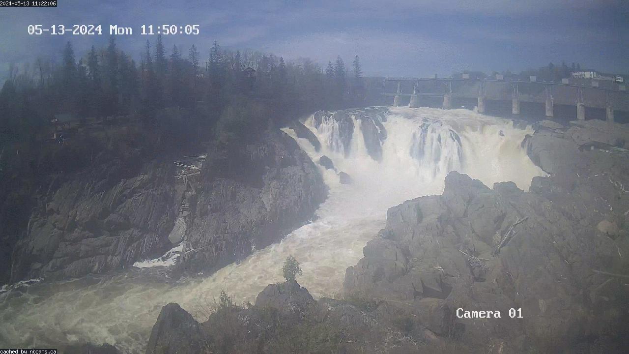 Web Cam image of Grand Falls Gorge