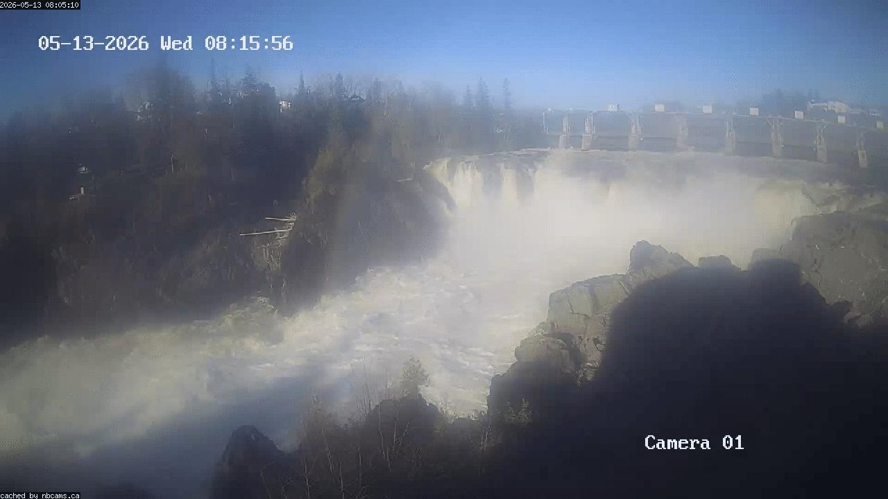 Web Cam image of Grand Falls Gorge
