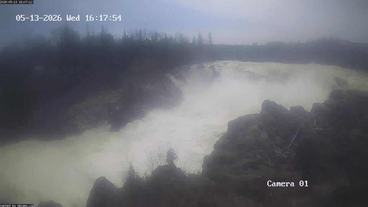 Web Cam image of Grand Falls Gorge