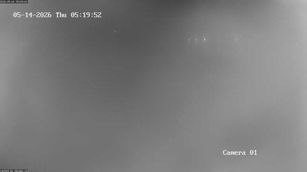 Web Cam image of Grand Falls Gorge
