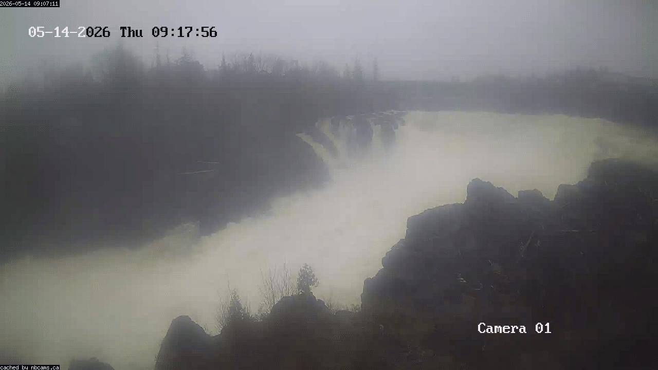 Web Cam image of Grand Falls Gorge