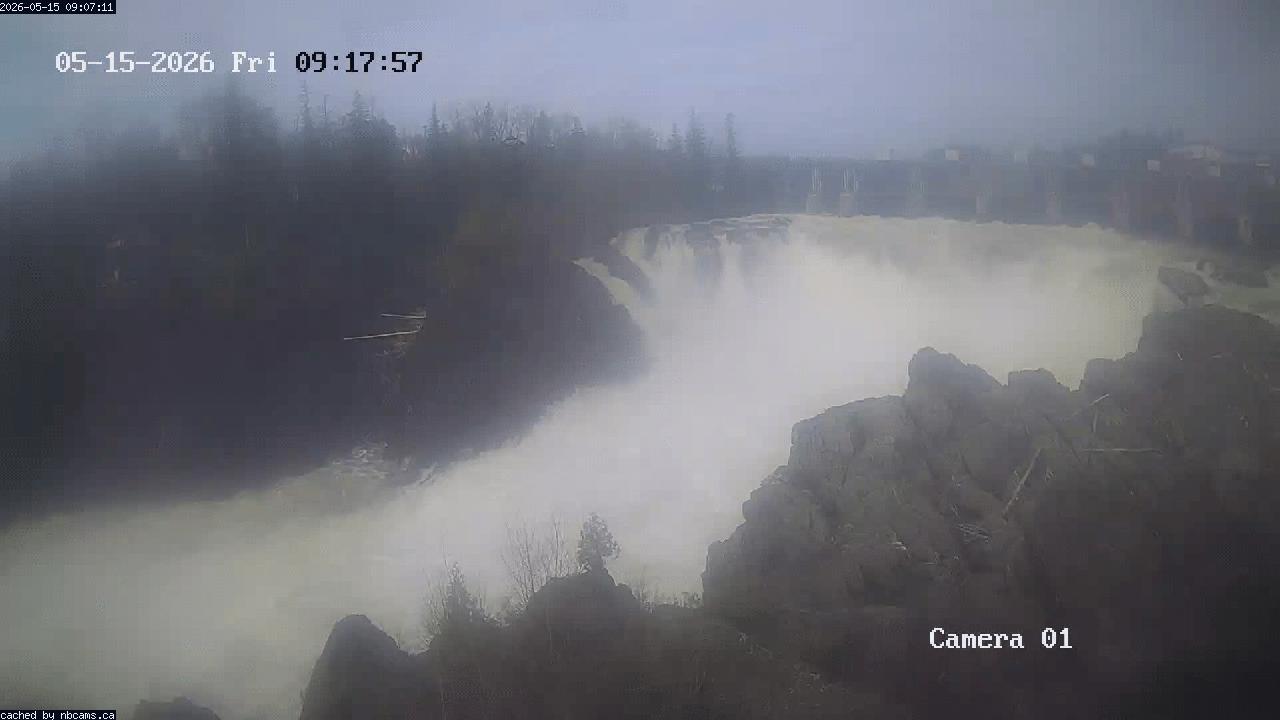 Web Cam image of Grand Falls Gorge