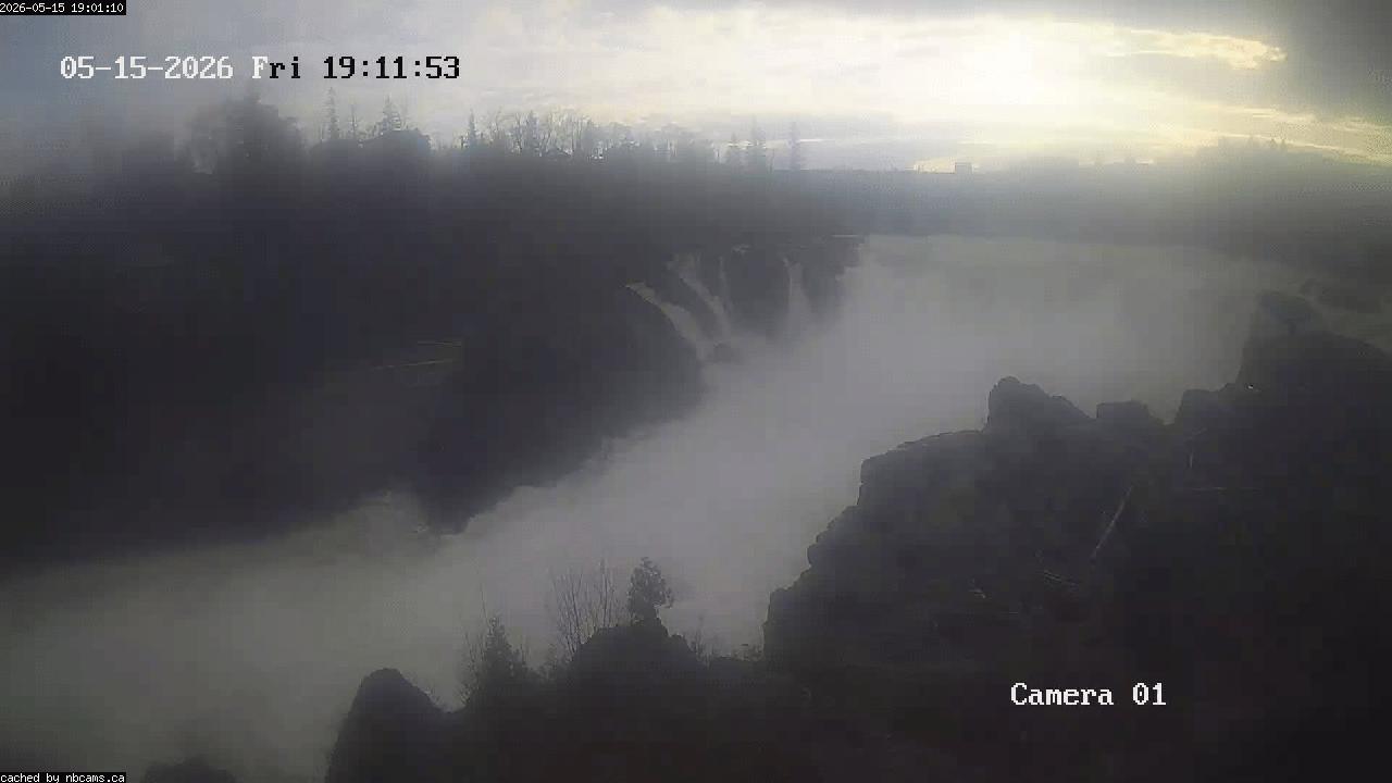 Web Cam image of Grand Falls Gorge