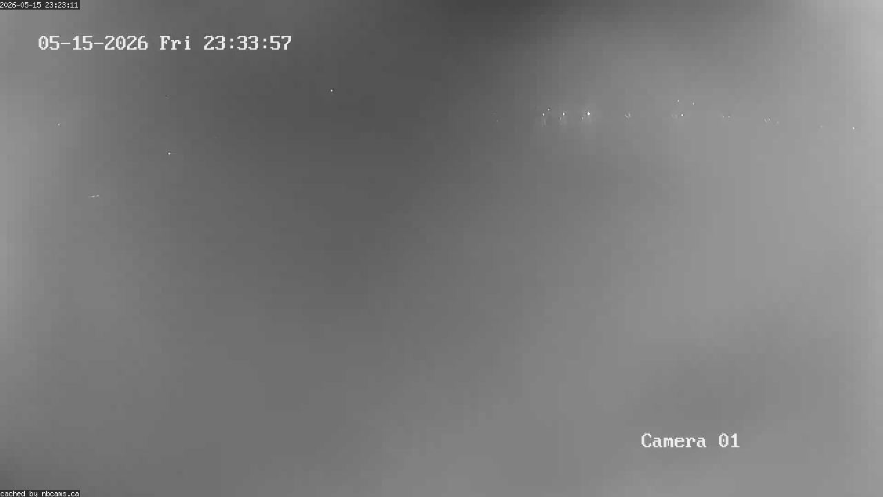 Web Cam image of Grand Falls Gorge