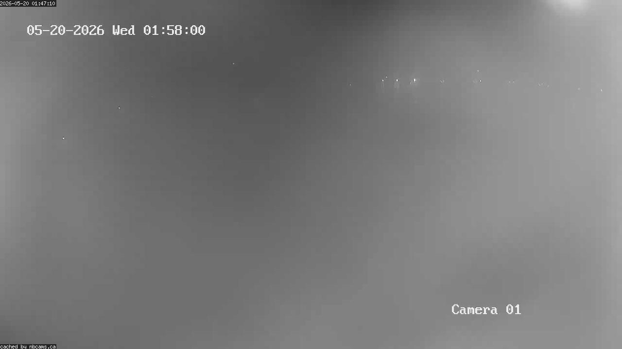 Web Cam image of Grand Falls Gorge
