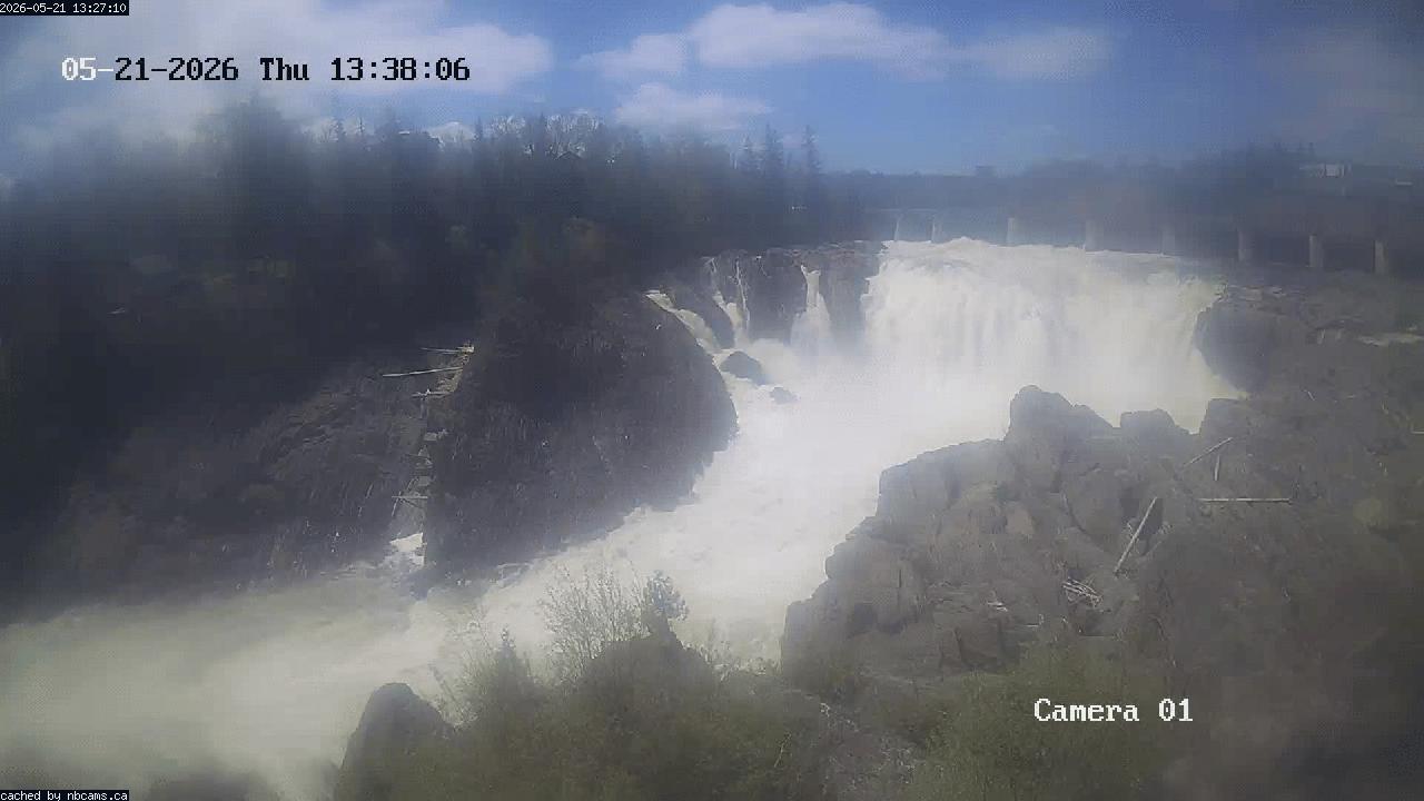 Web Cam image of Grand Falls Gorge
