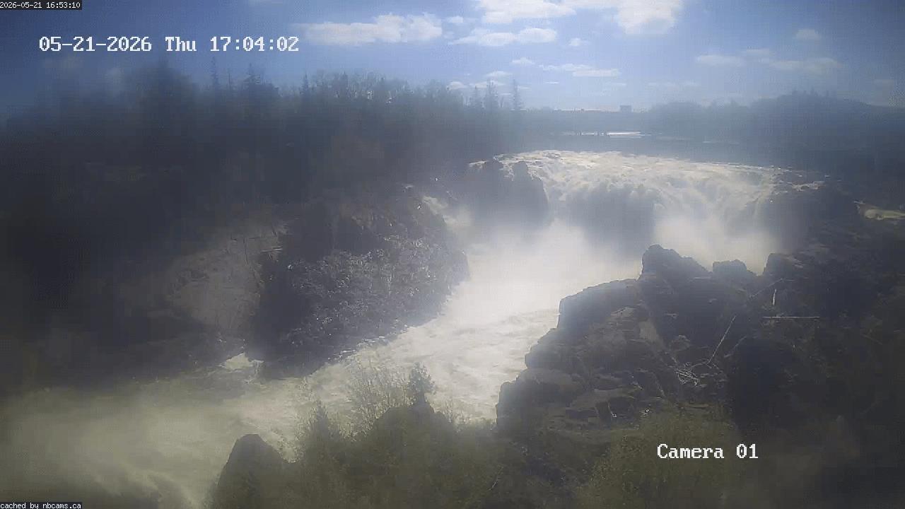 Web Cam image of Grand Falls Gorge