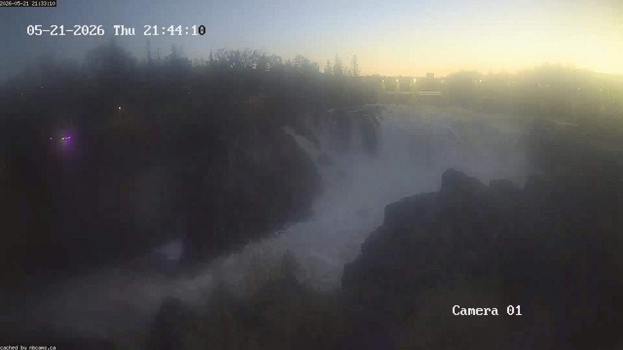 Web Cam image of Grand Falls Gorge