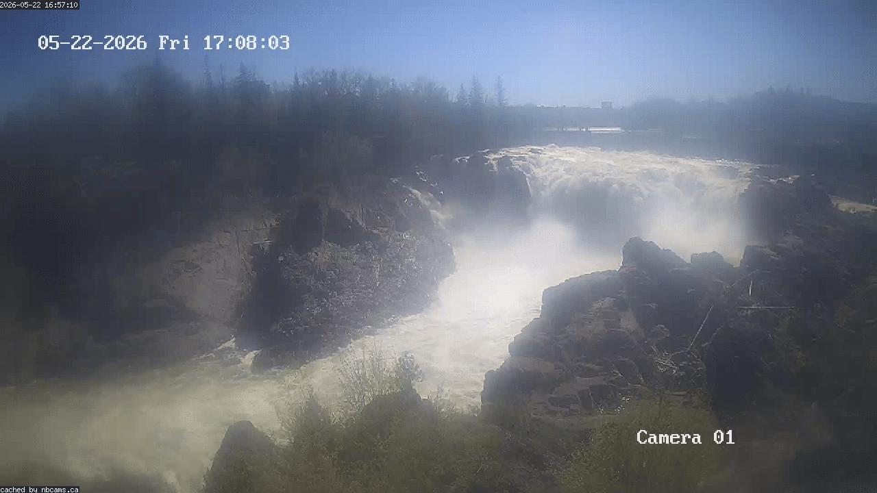 Web Cam image of Grand Falls Gorge