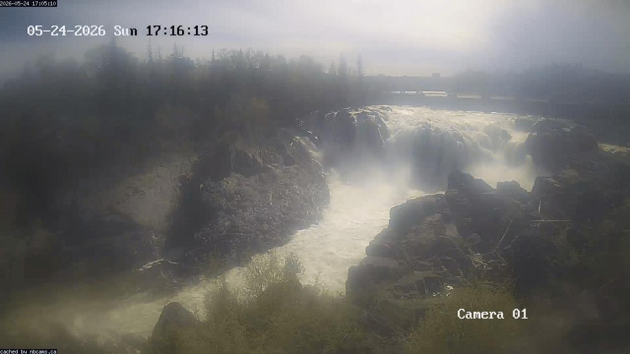 Web Cam image of Grand Falls Gorge