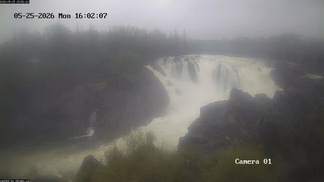 Web Cam image of Grand Falls Gorge