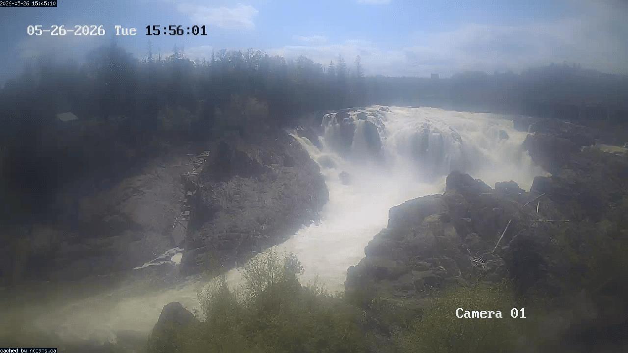Web Cam image of Grand Falls Gorge