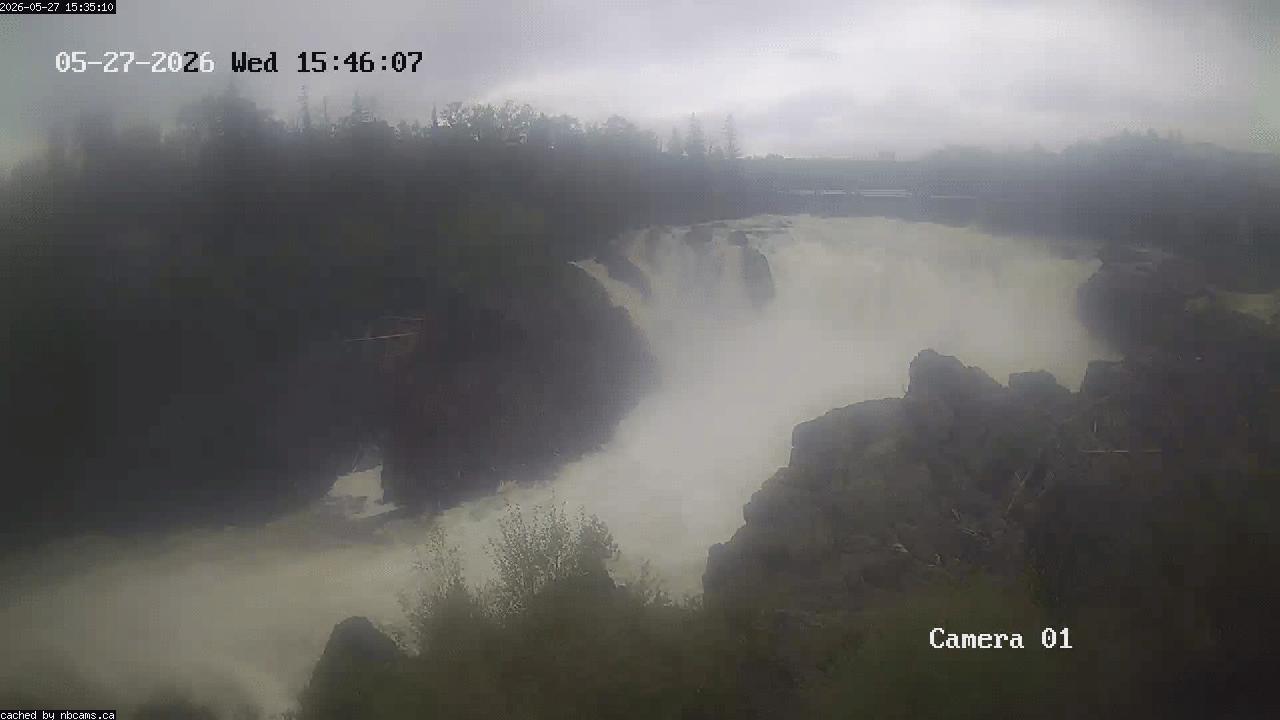 Web Cam image of Grand Falls Gorge