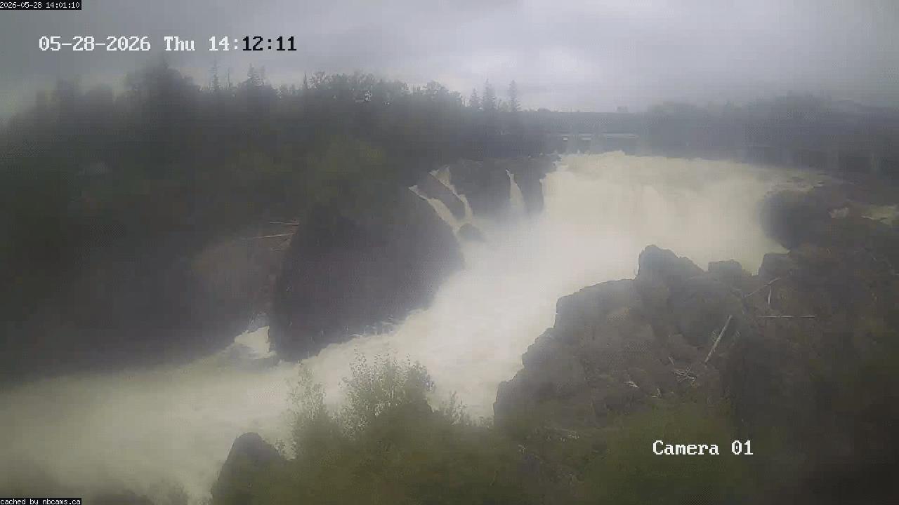 Web Cam image of Grand Falls Gorge