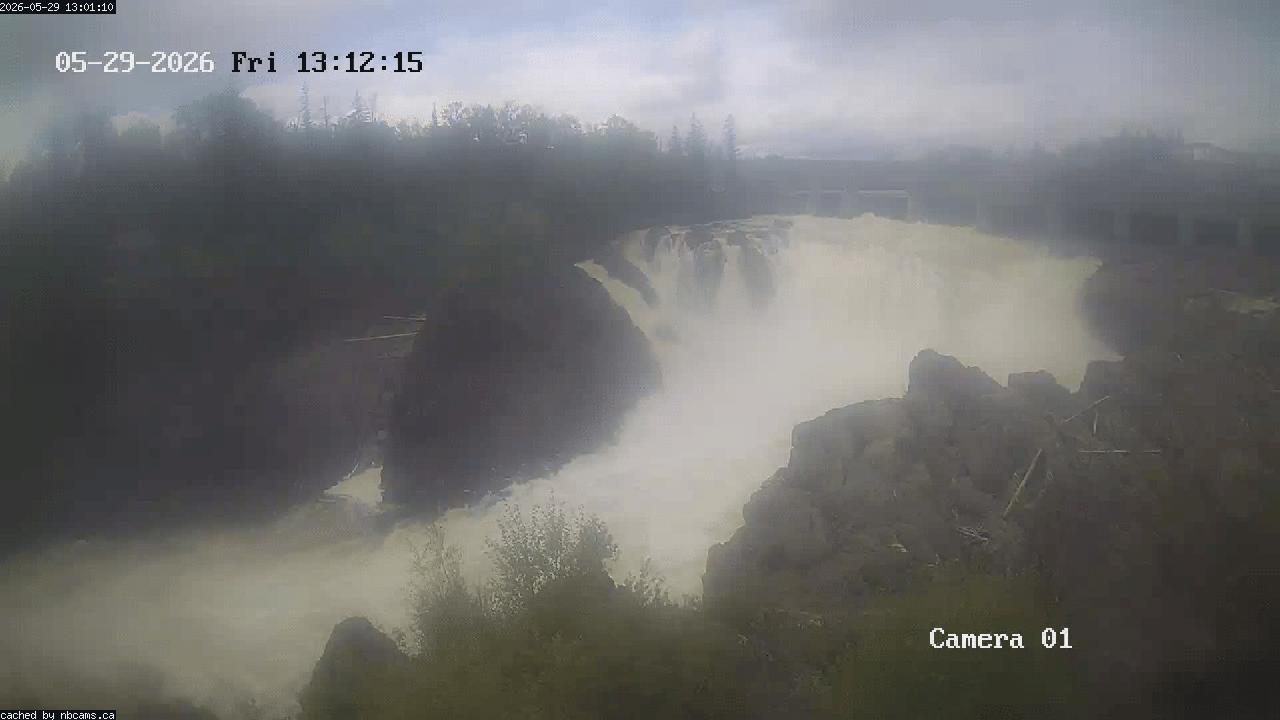 Web Cam image of Grand Falls Gorge