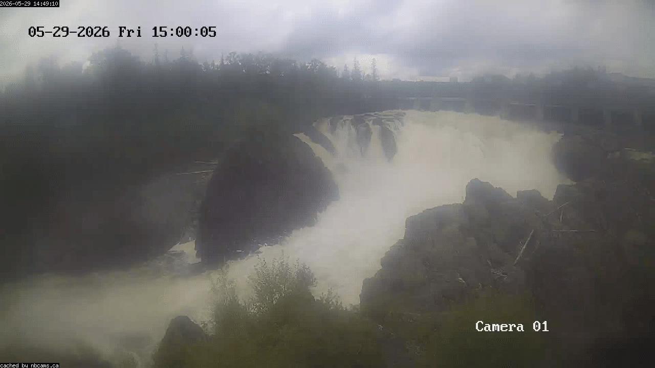 Web Cam image of Grand Falls Gorge