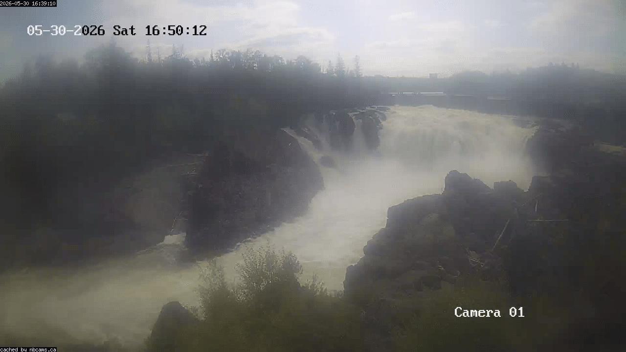Web Cam image of Grand Falls Gorge