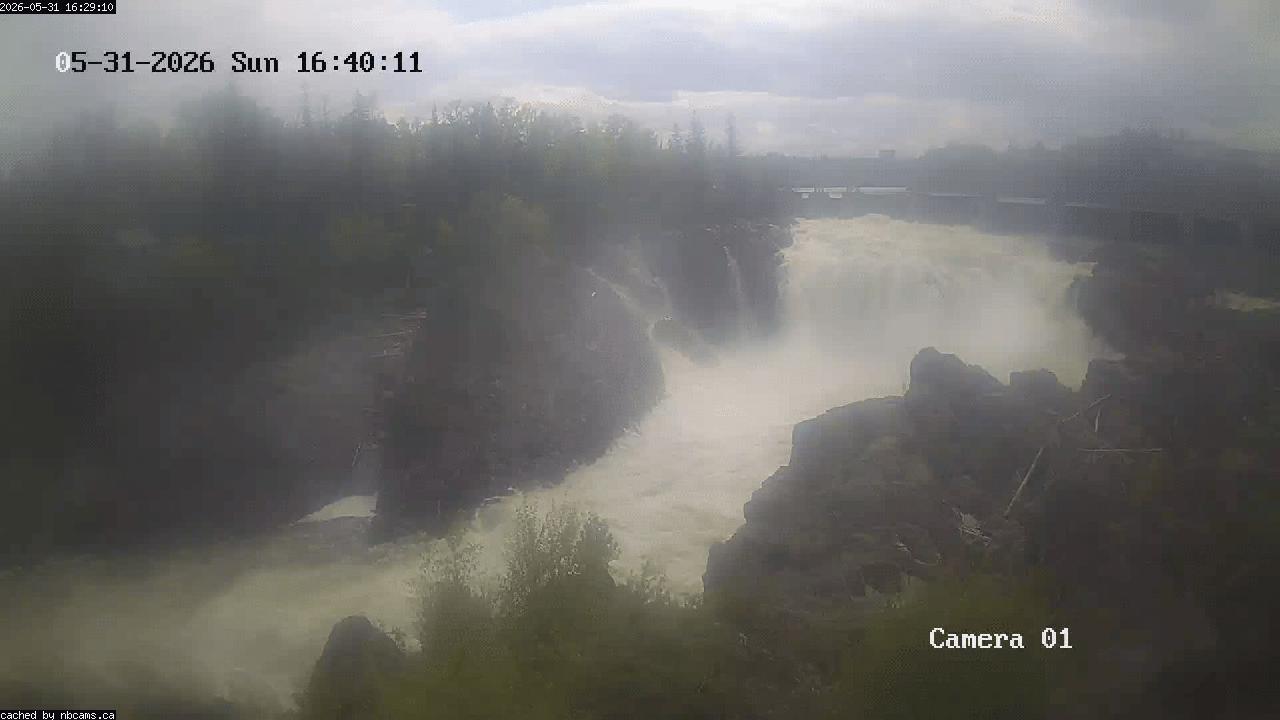 Web Cam image of Grand Falls Gorge