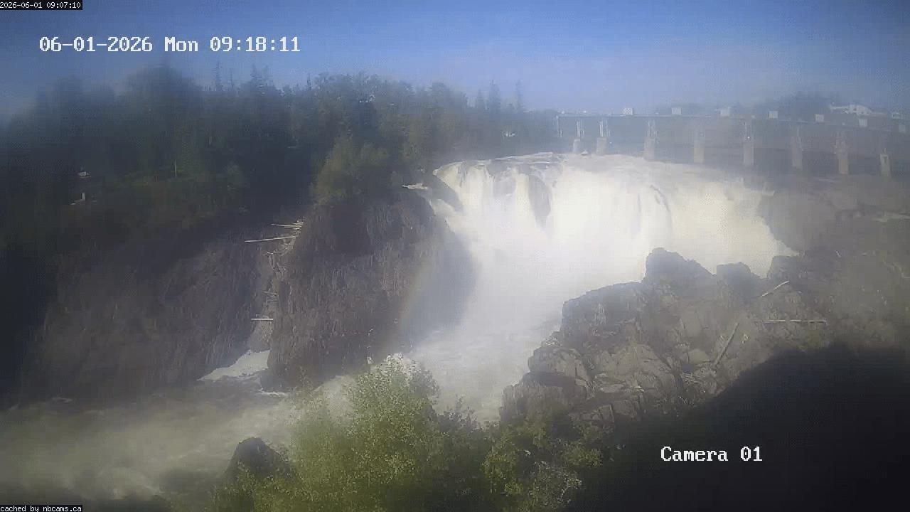 Web Cam image of Grand Falls Gorge