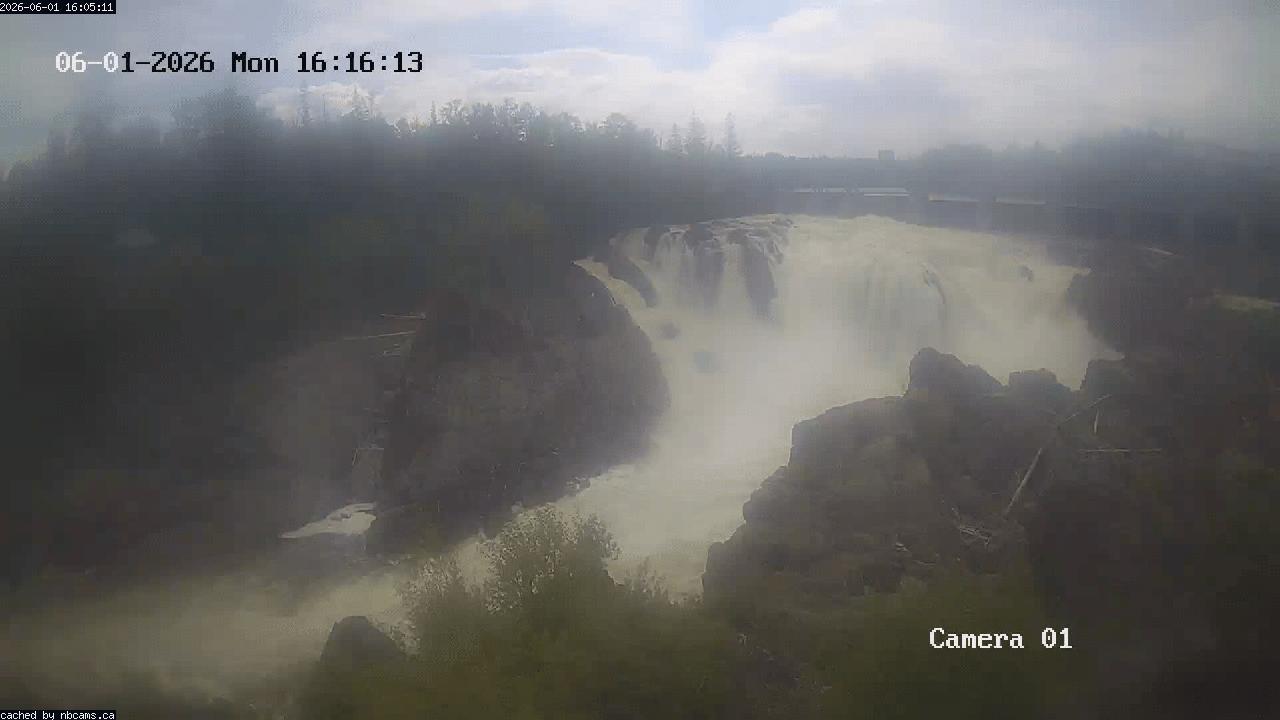 Web Cam image of Grand Falls Gorge