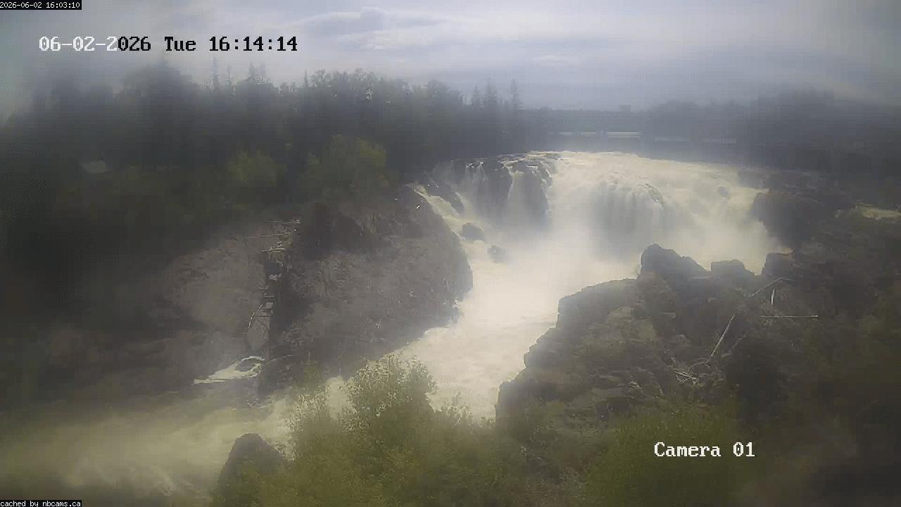 Web Cam image of Grand Falls Gorge