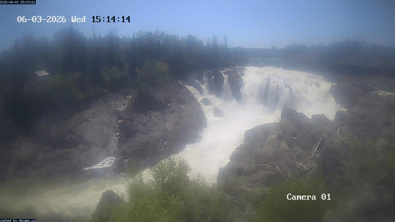 Web Cam image of Grand Falls Gorge