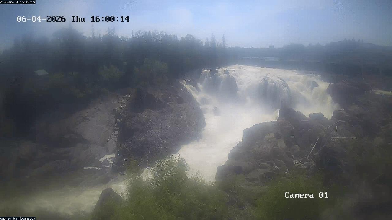Web Cam image of Grand Falls Gorge