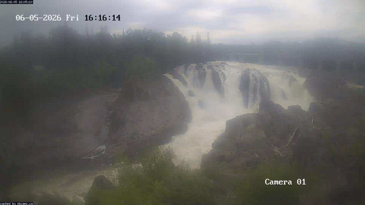 Web Cam image of Grand Falls Gorge