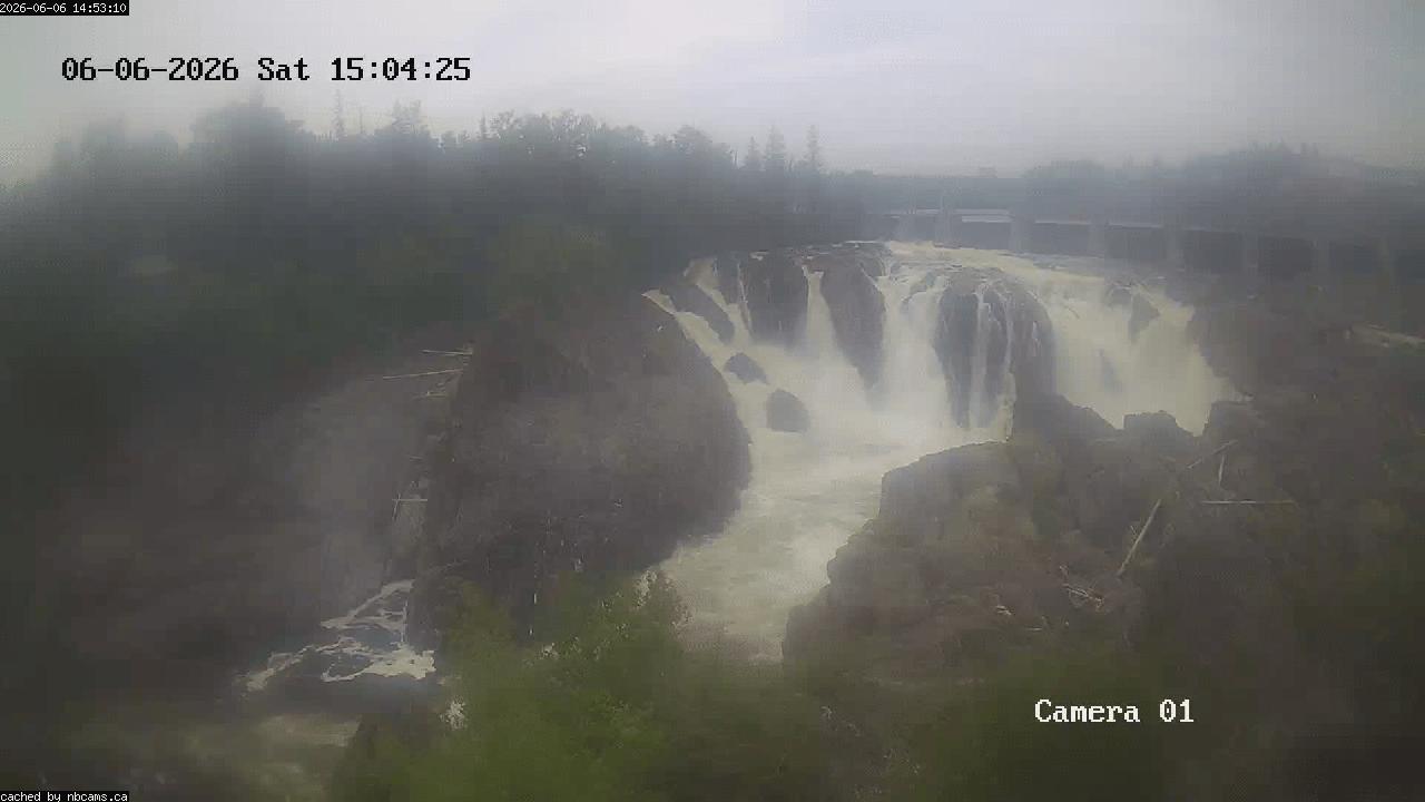 Web Cam image of Grand Falls Gorge
