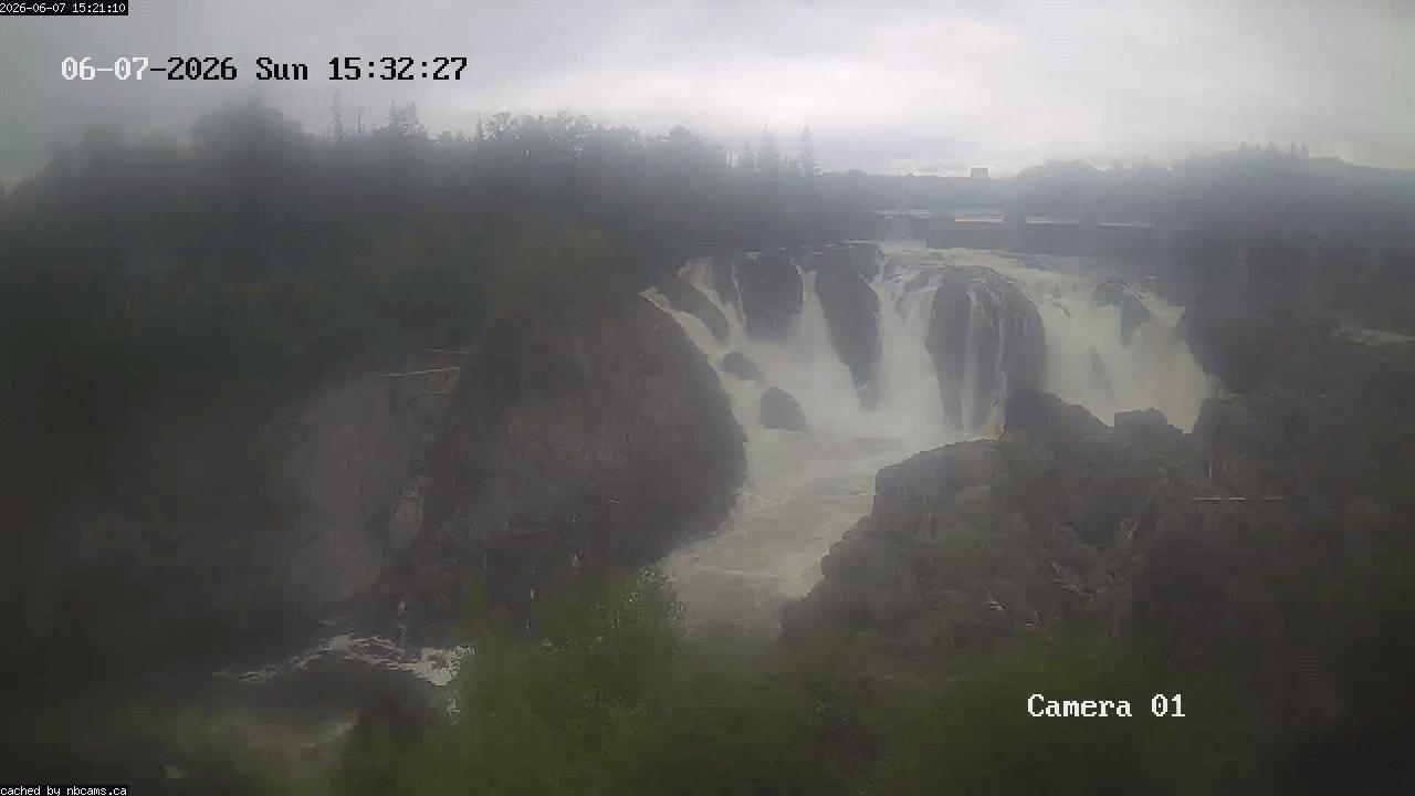 Web Cam image of Grand Falls Gorge
