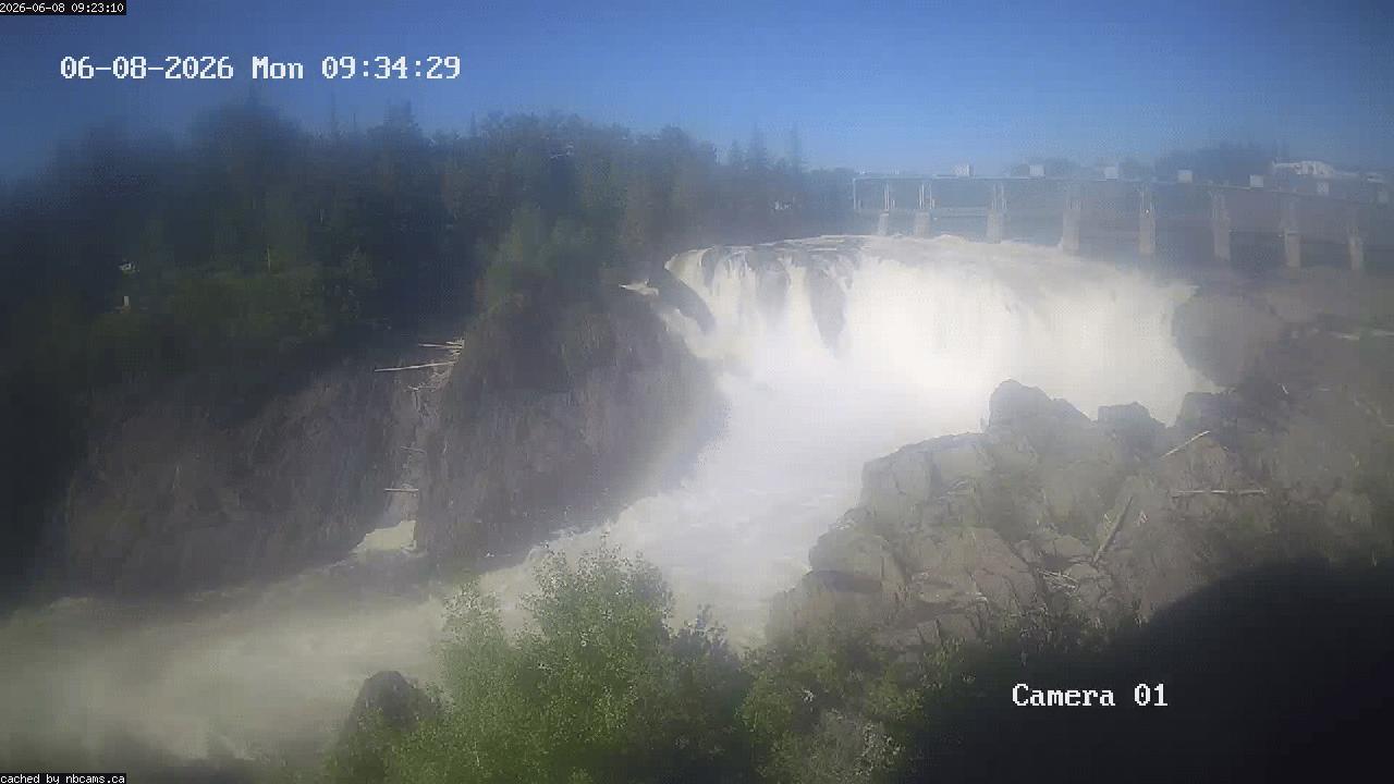 Web Cam image of Grand Falls Gorge