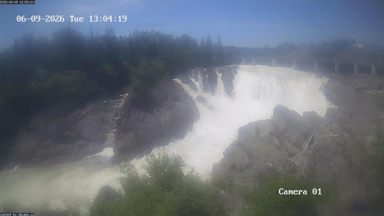 Web Cam image of Grand Falls Gorge