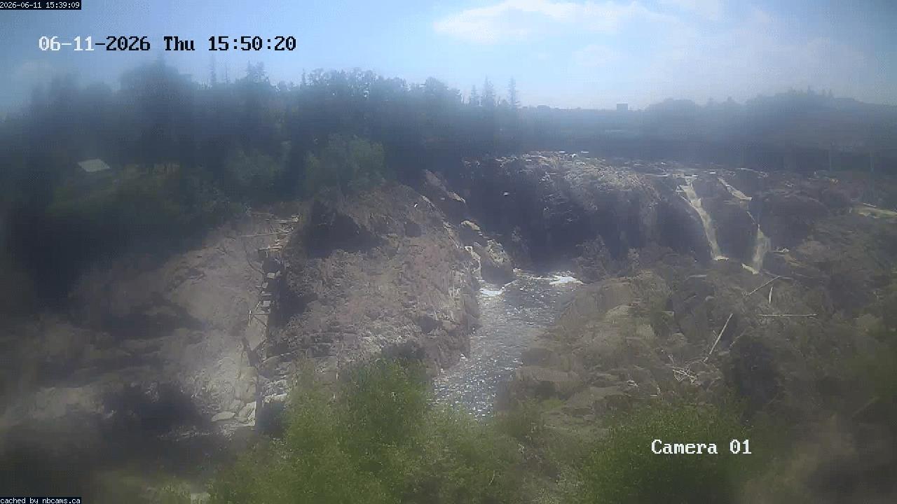 Web Cam image of Grand Falls Gorge