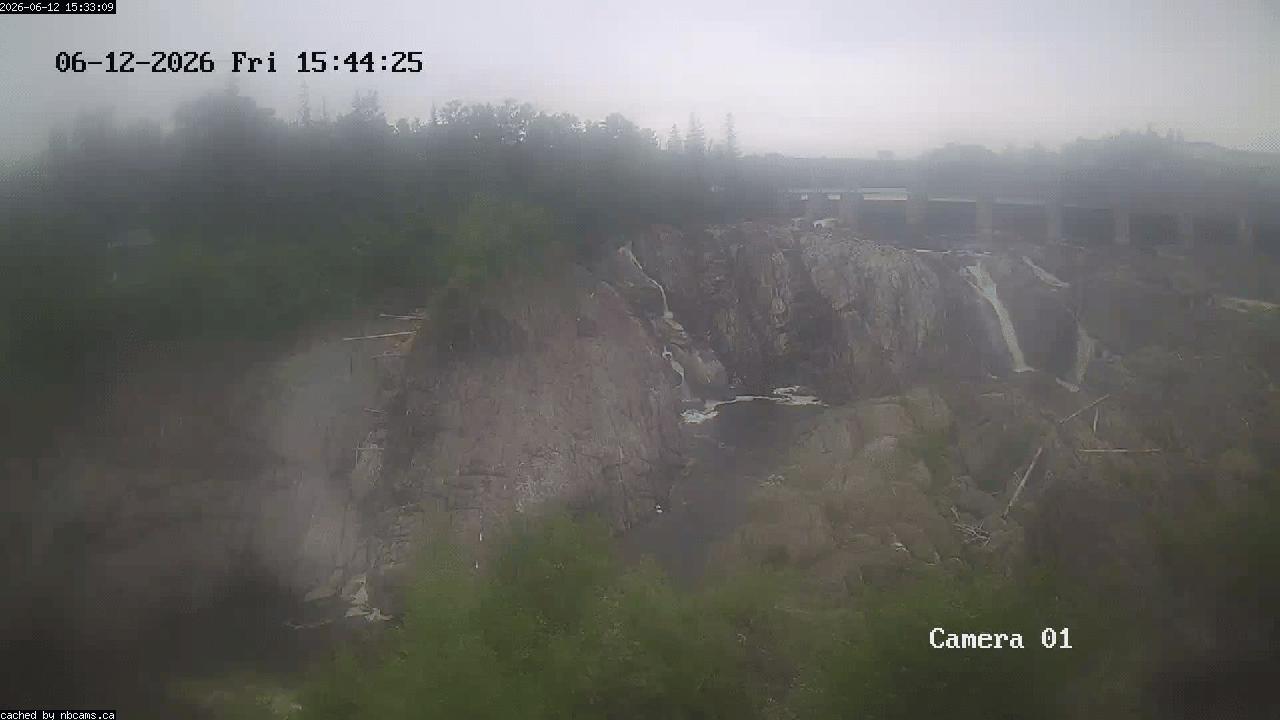 Web Cam image of Grand Falls Gorge