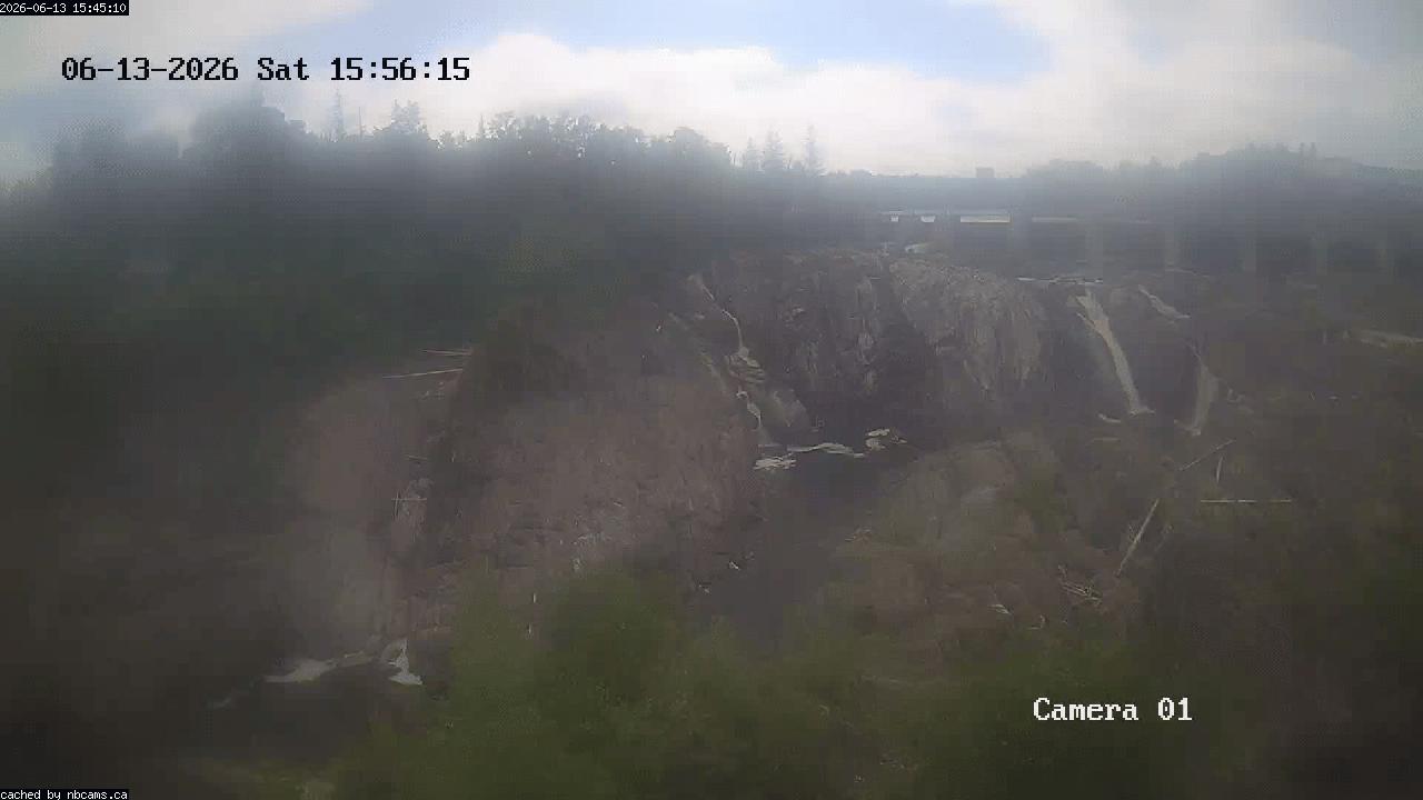 Web Cam image of Grand Falls Gorge