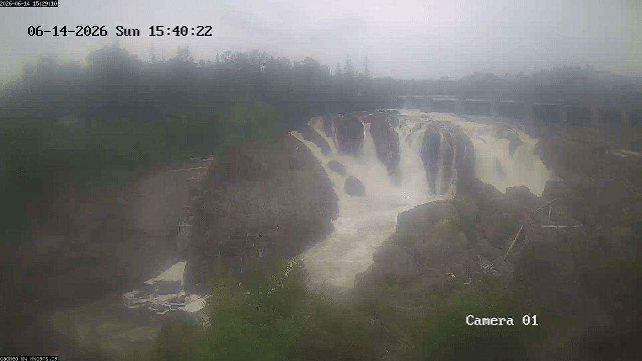 Web Cam image of Grand Falls Gorge