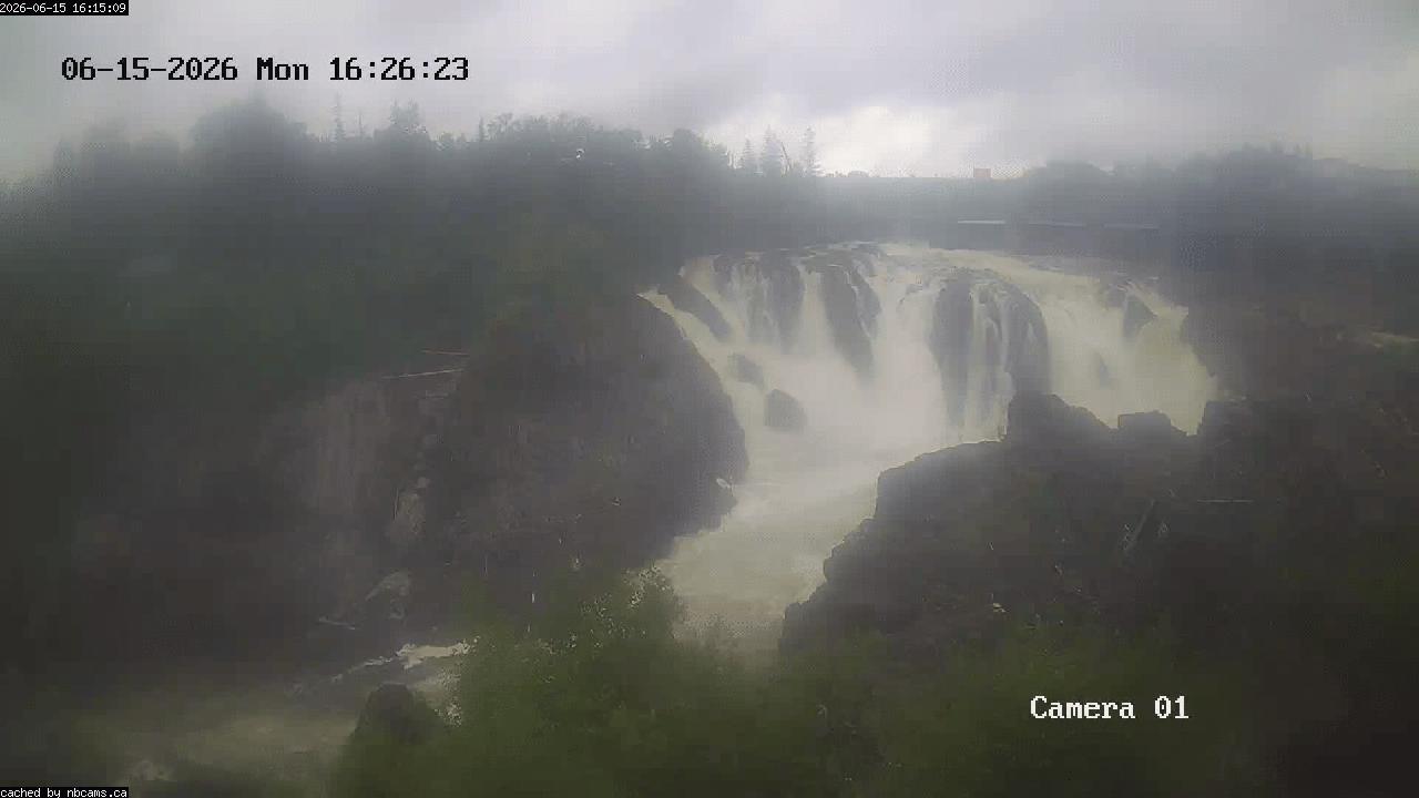 Web Cam image of Grand Falls Gorge