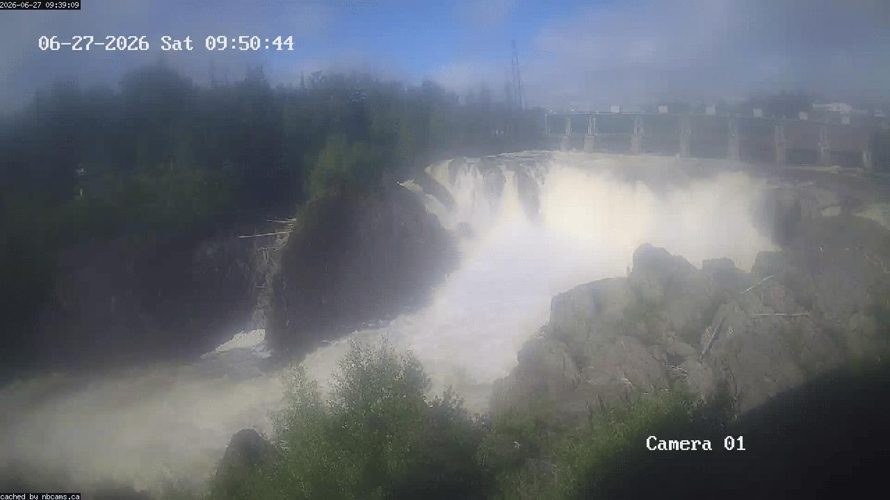 Web Cam image of Grand Falls Gorge