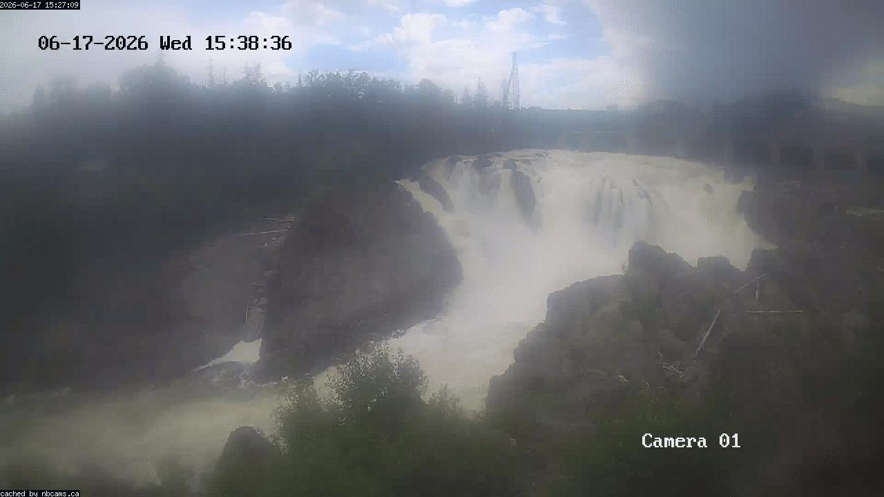 Web Cam image of Grand Falls Gorge