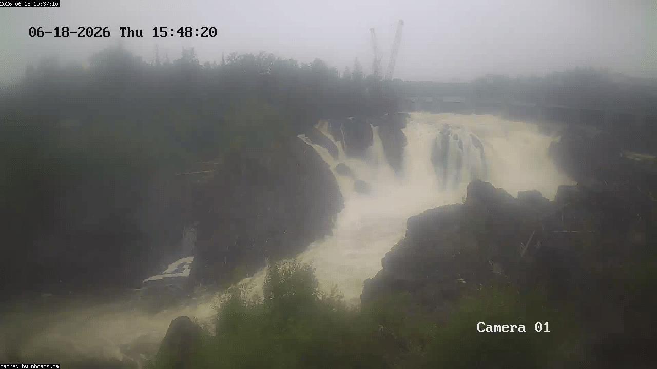 Web Cam image of Grand Falls Gorge