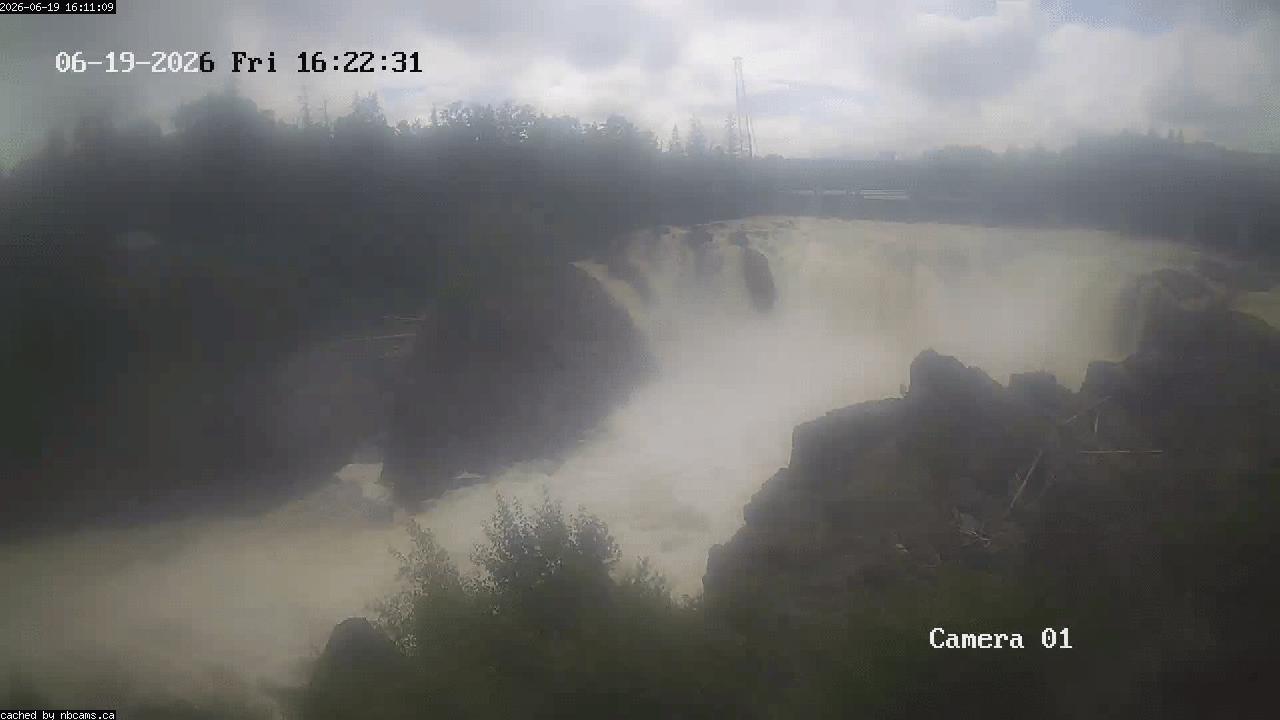 Web Cam image of Grand Falls Gorge
