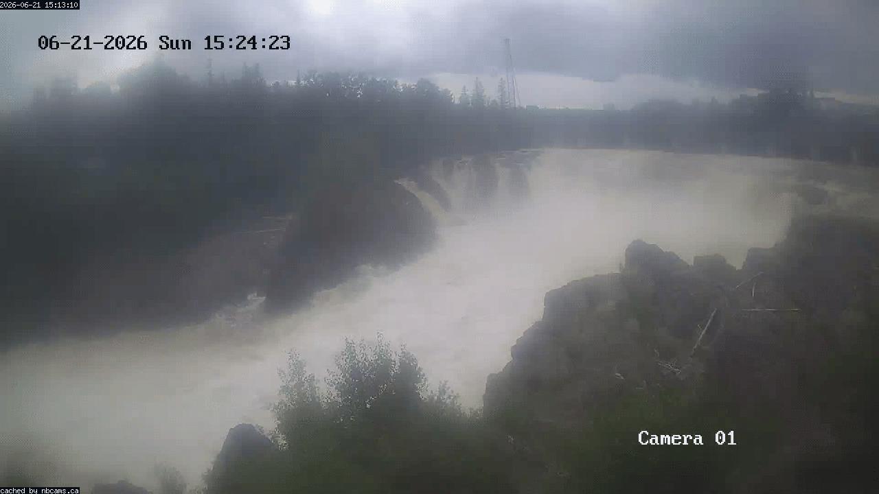 Web Cam image of Grand Falls Gorge